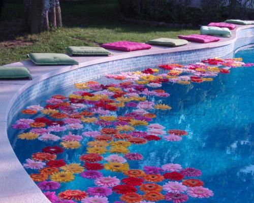 flores-na-piscina