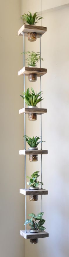 jardim-vertical-com-potes-de-vidro