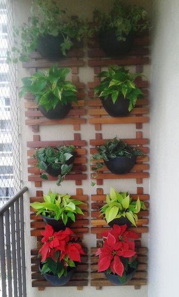 jardim-vertical-parede-de-varanda