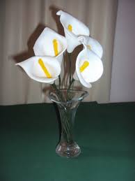 Vasos de flores de eva copo de leite