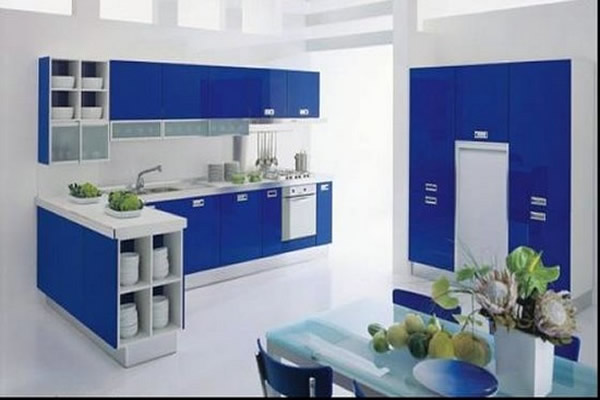 Cozinhas pequenas com decoração moderna em azule braca com flores