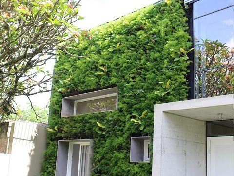 Jardim vertical fachada