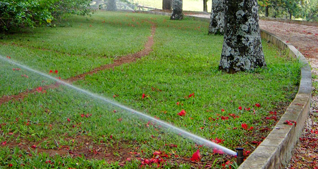irrigação no jardim